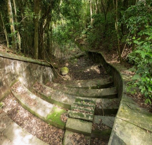 Antigua and Barbuda: Wallings Forest