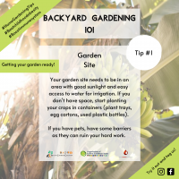 Getting your garden ready BYG 11